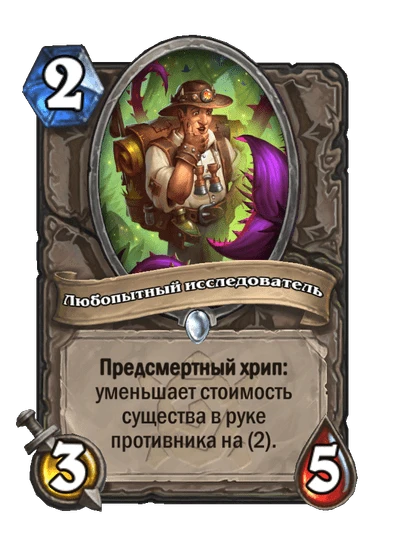 Любопытный исследователь